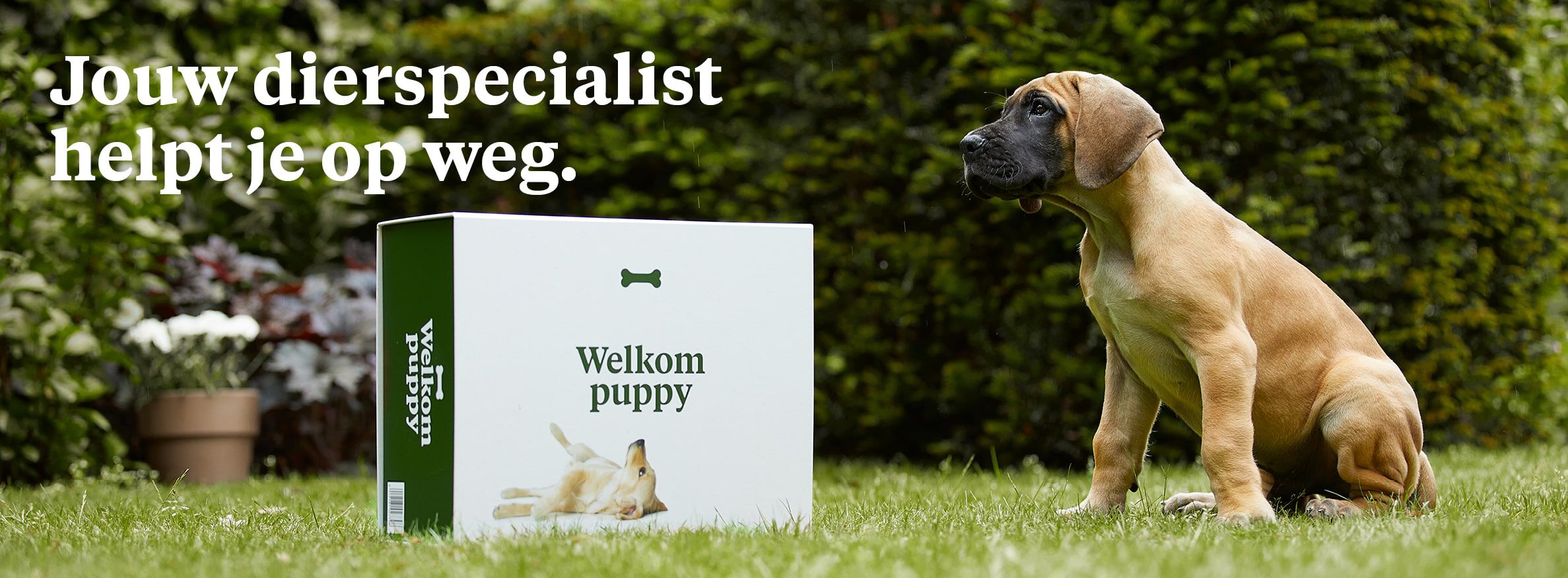 Gratis welkomstpakket voor je puppy.